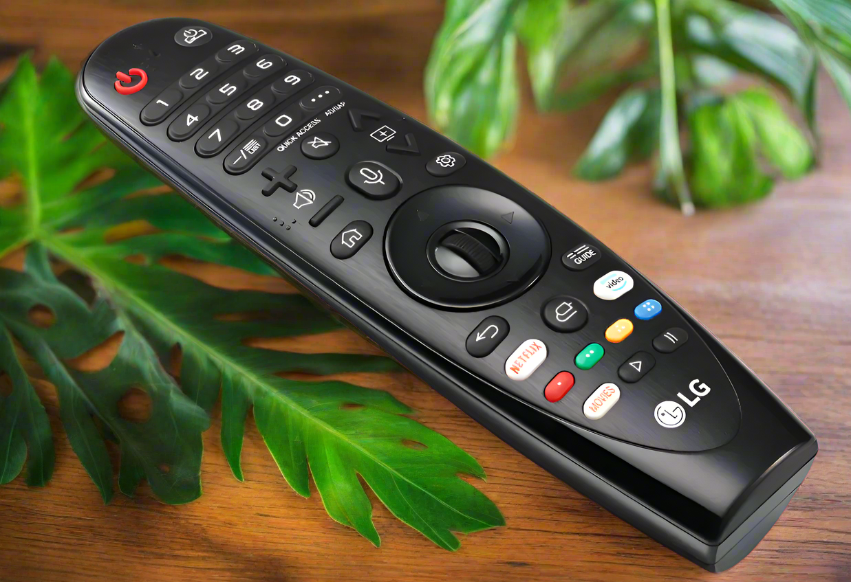 LG Magic Remote control 19/20